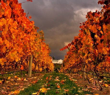 DDOS压力测试网页端